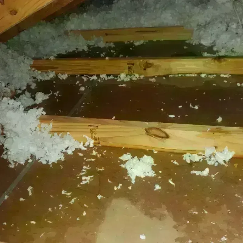 Attic Water Damage in Farmland, IN