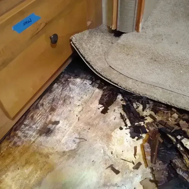 Wood Floor Water Damage in Farmland, IN